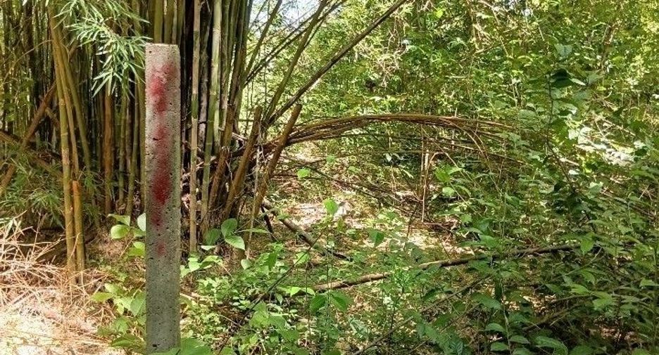 Grundstück zum Kauf in San Pa Tong, Chiang Mai