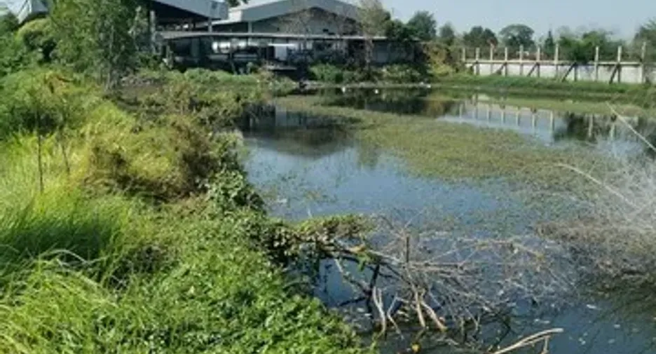 À vendre studio maison à Ban Haet, Khon Kaen