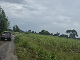 À vendre terrain à Dan Khun Thot, Nakhon Ratchasima