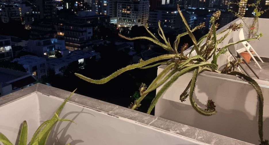 For rent 3 bedrooms condo in Watthana, Bangkok
