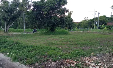 For sale land in Doi Saket, Chiang Mai