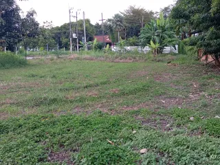 Grundstück zum Kauf in Doi Saket, Chiang Mai