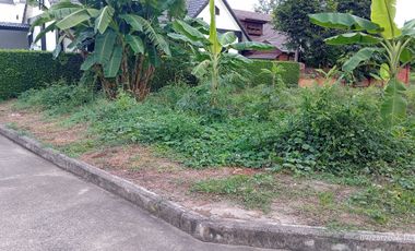 For sale land in Doi Saket, Chiang Mai