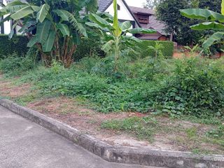 Grundstück zum Kauf in Doi Saket, Chiang Mai