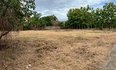 For sale land in Mueang Lamphun, Lamphun