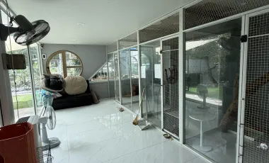 For sale retail Space in Ko Samui, Surat Thani