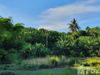 For sale land in Ao Luek, Krabi