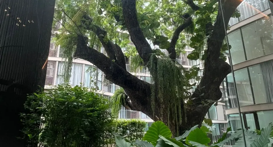For sale and for rent 1 bed condo in Khlong Toei, Bangkok