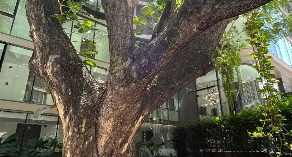 For sale and for rent 1 bed condo in Khlong Toei, Bangkok