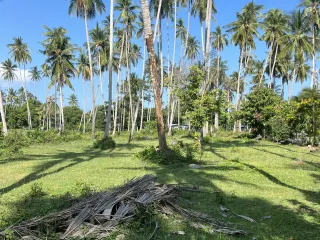 For sale land in Ko Samui, Surat Thani