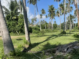 For sale land in Ko Samui, Surat Thani