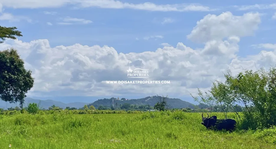 For sale land in Doi Saket, Chiang Mai