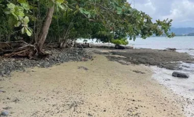 For sale land in Mueang Phuket, Phuket