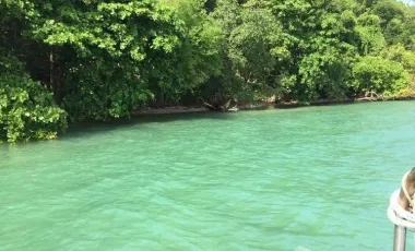 For sale land in Mueang Phuket, Phuket