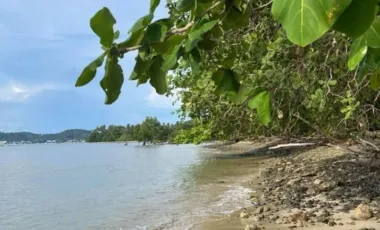 For sale land in Mueang Phuket, Phuket