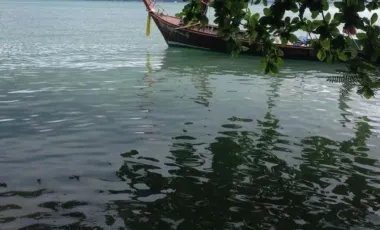 For sale land in Mueang Phuket, Phuket