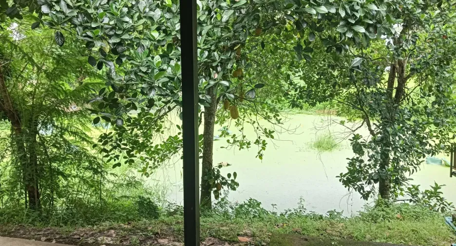 For rent 2 bedrooms house in Doi Saket, Chiang Mai