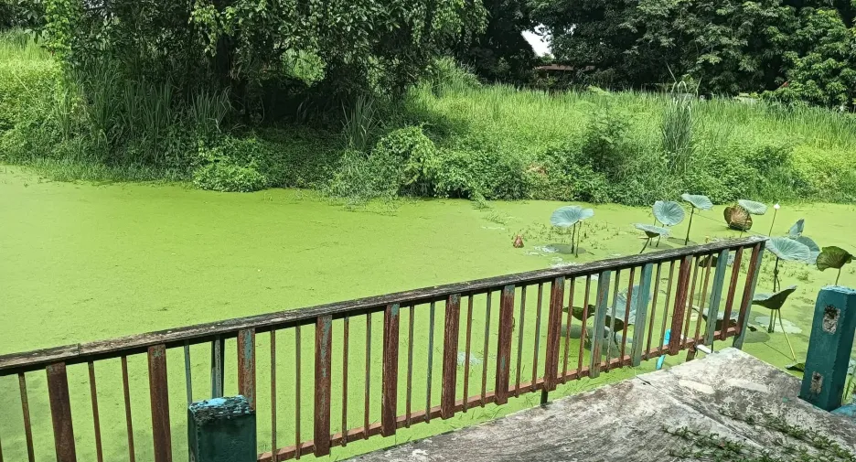 For rent 2 bedrooms house in Doi Saket, Chiang Mai