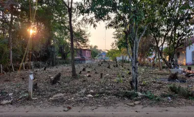 For sale land in Mueang Udon Thani, Udon Thani