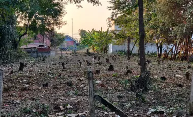 For sale land in Mueang Udon Thani, Udon Thani