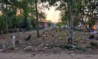 For sale land in Mueang Udon Thani, Udon Thani