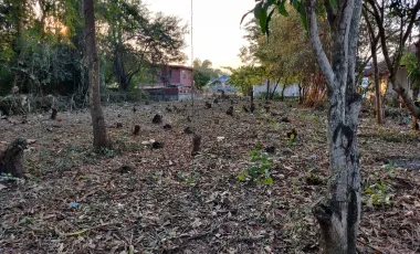 For sale land in Mueang Udon Thani, Udon Thani