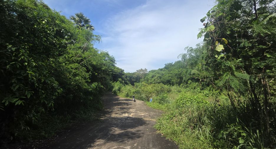 For sale land in Pran Buri, Prachuap Khiri Khan