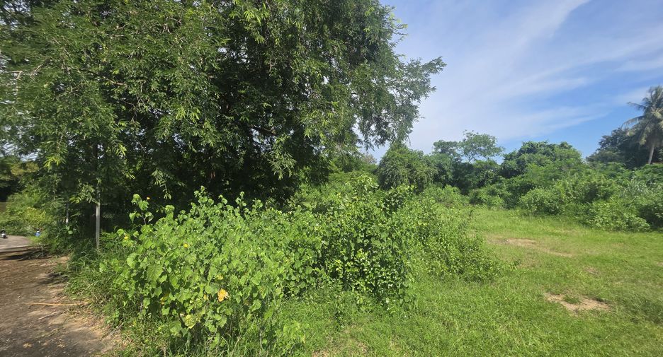 For sale land in Pran Buri, Prachuap Khiri Khan