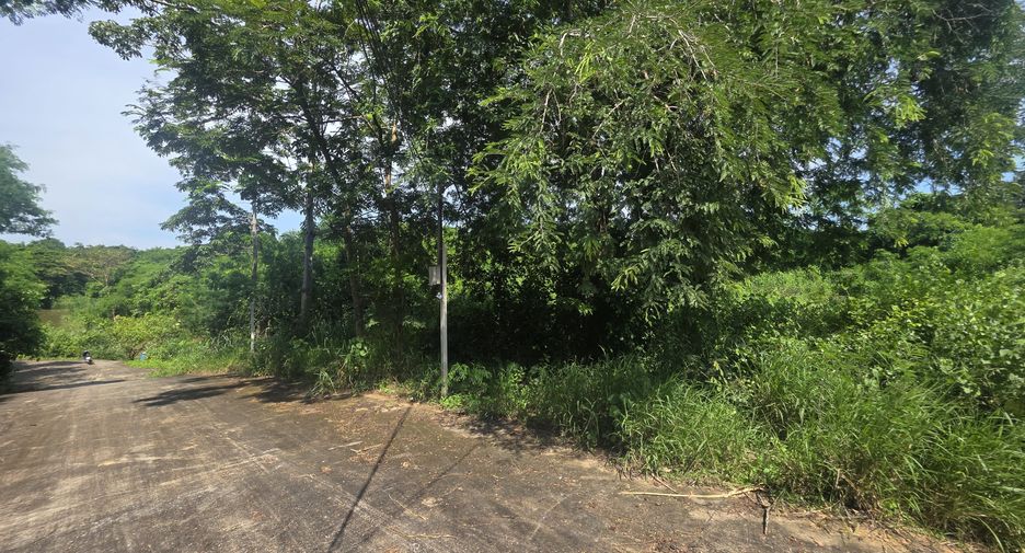 For sale land in Pran Buri, Prachuap Khiri Khan