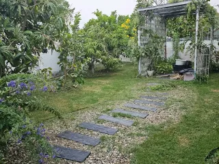 For sale and for rent 4 bedrooms house in Mae Rim, Chiang Mai
