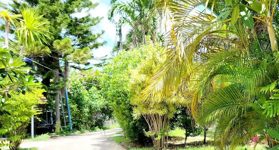 For rent 2 bedrooms house in Kathu, Phuket