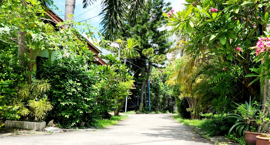 For rent 2 bedrooms house in Kathu, Phuket
