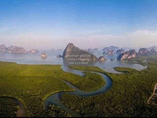 For sale 1 bed land in Takua Thung, Phang Nga