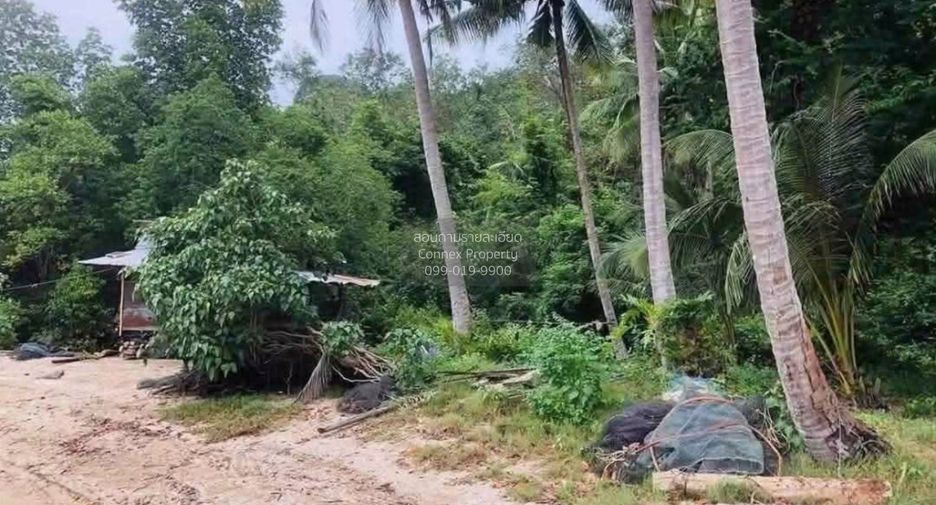 For sale 1 bed land in Takua Thung, Phang Nga