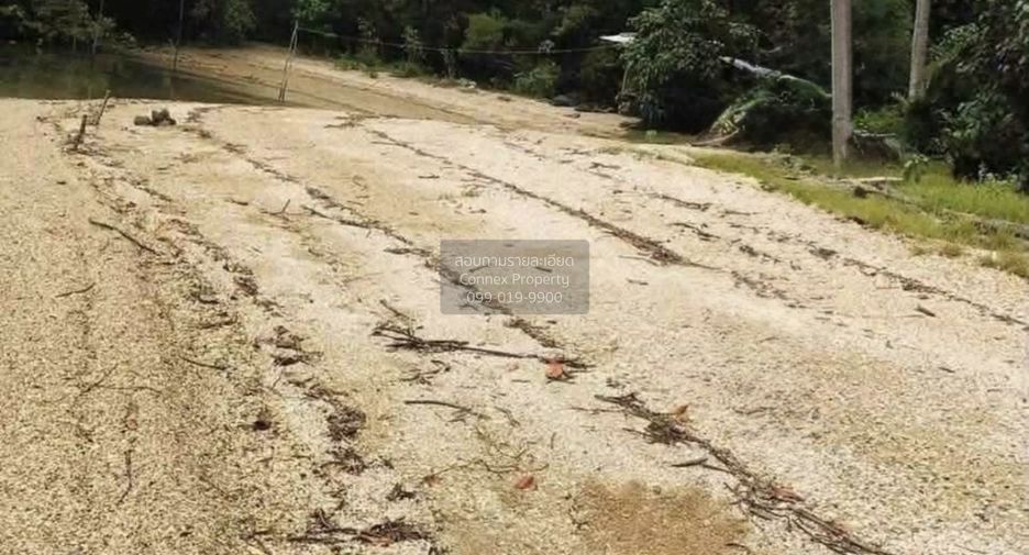 For sale 1 bed land in Takua Thung, Phang Nga