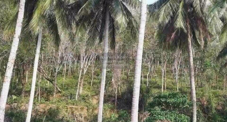 For sale 1 bed land in Takua Thung, Phang Nga