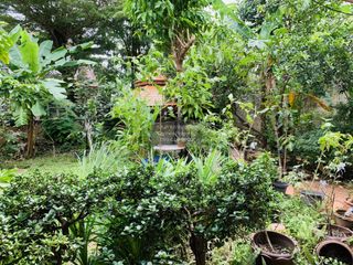 For sale 4 bedrooms house in Bang Khae, Bangkok