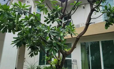 For rent 2 bedrooms villa in Suan Luang, Bangkok