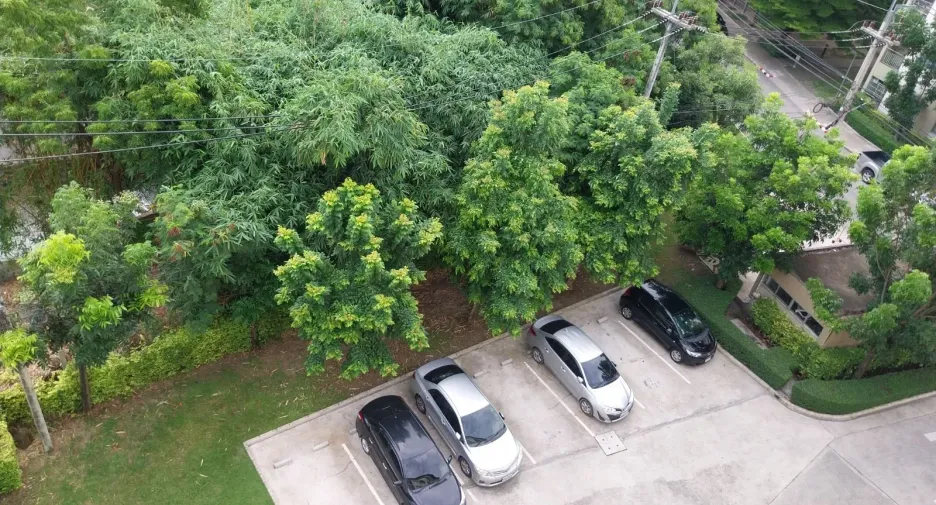 For sale そして for rent 1 Beds condo in Mueang Chon Buri, Chonburi