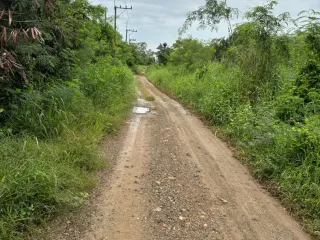 Продажа Участок в Khlong Luang, Патумтани