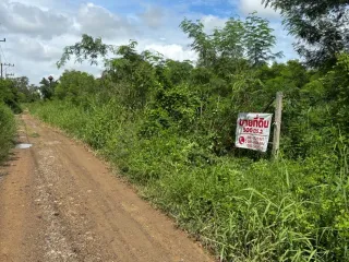 Продажа Участок в Khlong Luang, Патумтани