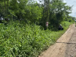 Продажа Участок в Khlong Luang, Патумтани