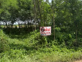 Продажа Участок в Khlong Luang, Патумтани