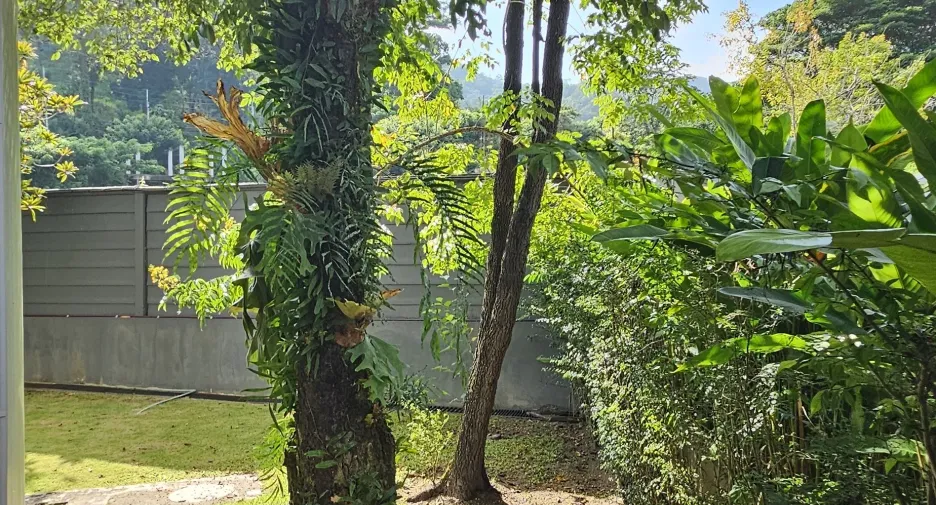 Casa en venta de 3 habitaciones en Mae Rim, Chiang Mai