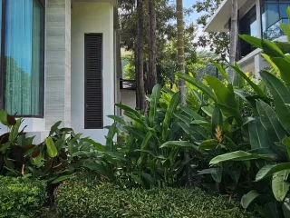 Casa en venta de 3 habitaciones en Mae Rim, Chiang Mai