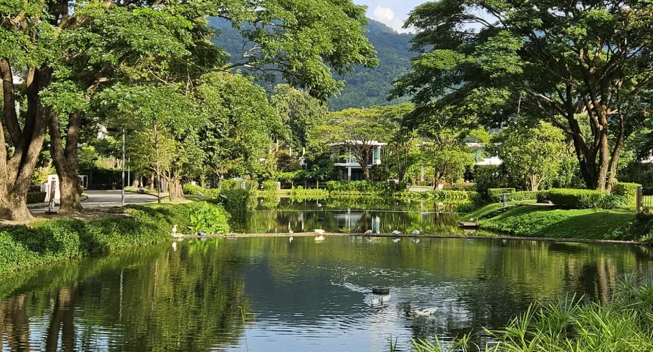 Casa en venta de 3 habitaciones en Mae Rim, Chiang Mai