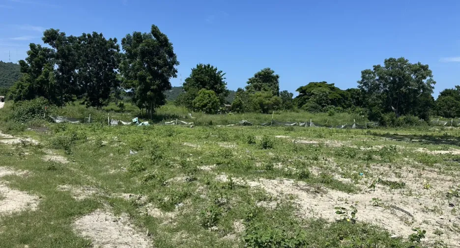 For sale land in Hua Hin, Prachuap Khiri Khan