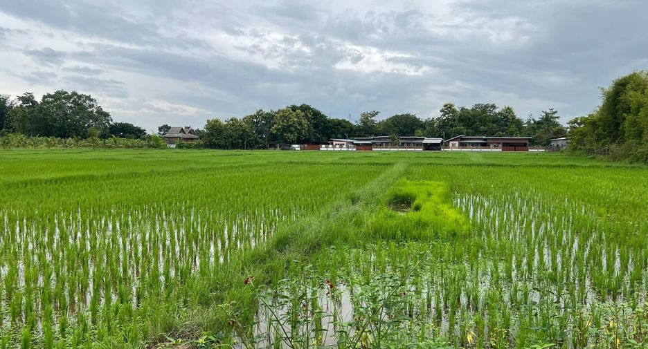Casa en venta de 3 habitaciones en Doi Saket, Chiang Mai