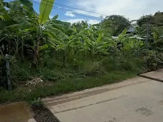 For sale 2 bedrooms house in Mueang Phuket, Phuket