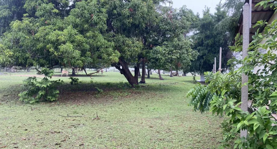 Grundstück zum Kauf in Sam Roi Yot, Prachuap Khiri Khan